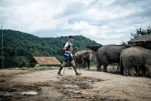 BIB: 
                            <button type="button" onclick="openModal(22423436)" class="btn btn-primary btn-sm float-right btn-popup" data-toggle="modal" data-target=".modal-high-quality">
                        <i class="fas fa-shopping-cart"></i> Add to Cart
                    </button>
                                            <button type="button" onclick="isThisMe(22423436, true)" class="btn btn-success btn-sm float-right btn-popup btn-isme hidden" data-toggle="tooltip" data-placement="bottom" title="นี่คือรูปของคุณใช่ไหม คลิกที่นี่เพื่อเอาเข้าอัลบั้ม">
                        <i class="fas fa-plus"></i> Add to album
                    </button>
                    <button type="button" onclick="isThisMe(22423436, false)" class="btn btn-warning btn-sm float-right btn-popup btn-isnotme hidden">
                        <i class="fas fa-ban"></i> Remove from album
                    </button>